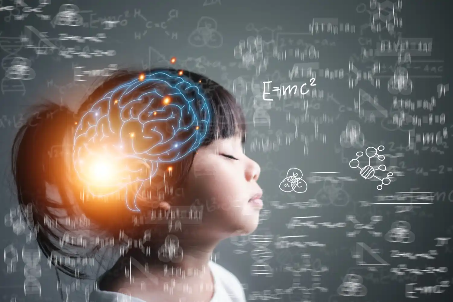 Photographic memory training
