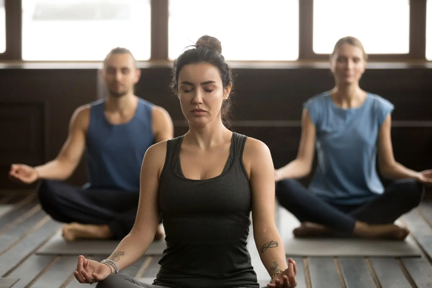 Programs & Offerings